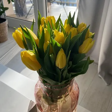 Apartament Nad Jeziorem