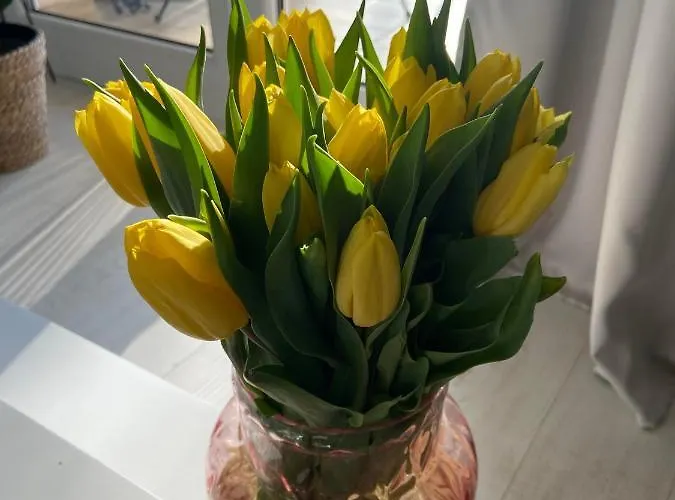 Apartament Nad Jeziorem